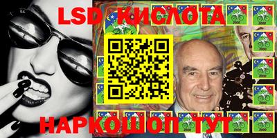 шишки Кимры
