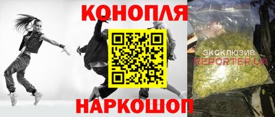 гидропоника Кингисепп